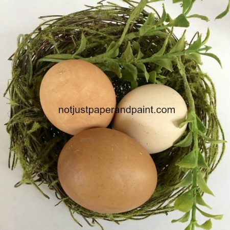 coffee & tea eggs named notjustpaperandpaint.com