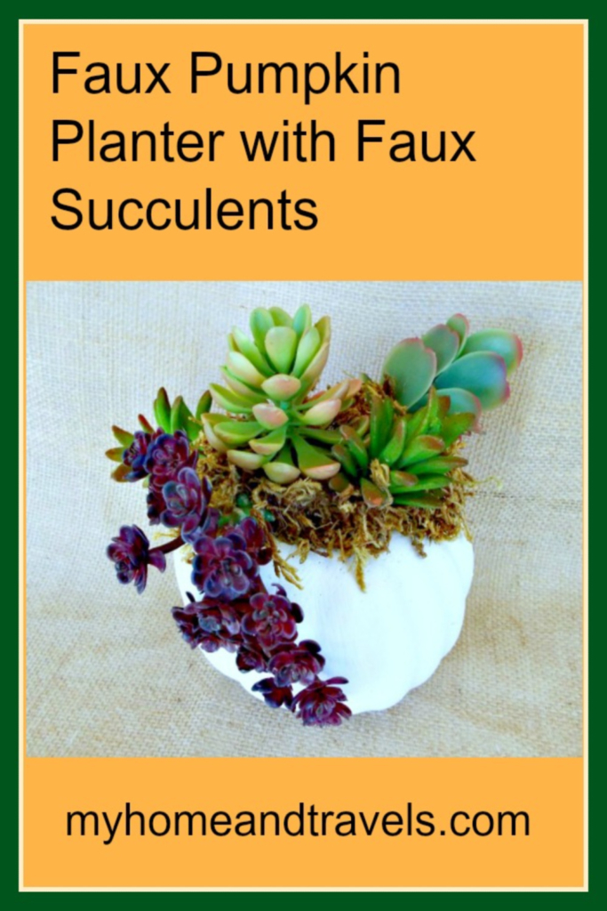 faux succulent pumpkin planter my home and travels pinterest image