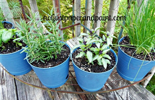 new herb pots named notjustpaperandpaint.com