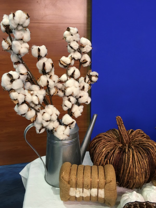 cotton-bolls-galvanized-can-not-just-paper-and-paint