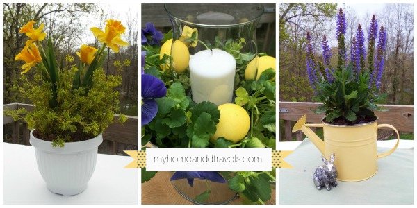 DIY Moss Pots - Spring Craft With Living Moss - Sew Historically