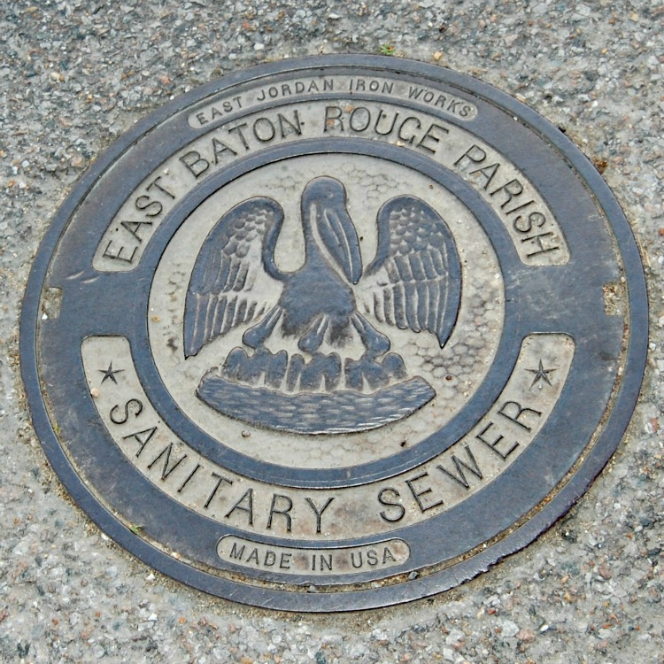 Manhole cover in Baton Rouge Louisiana