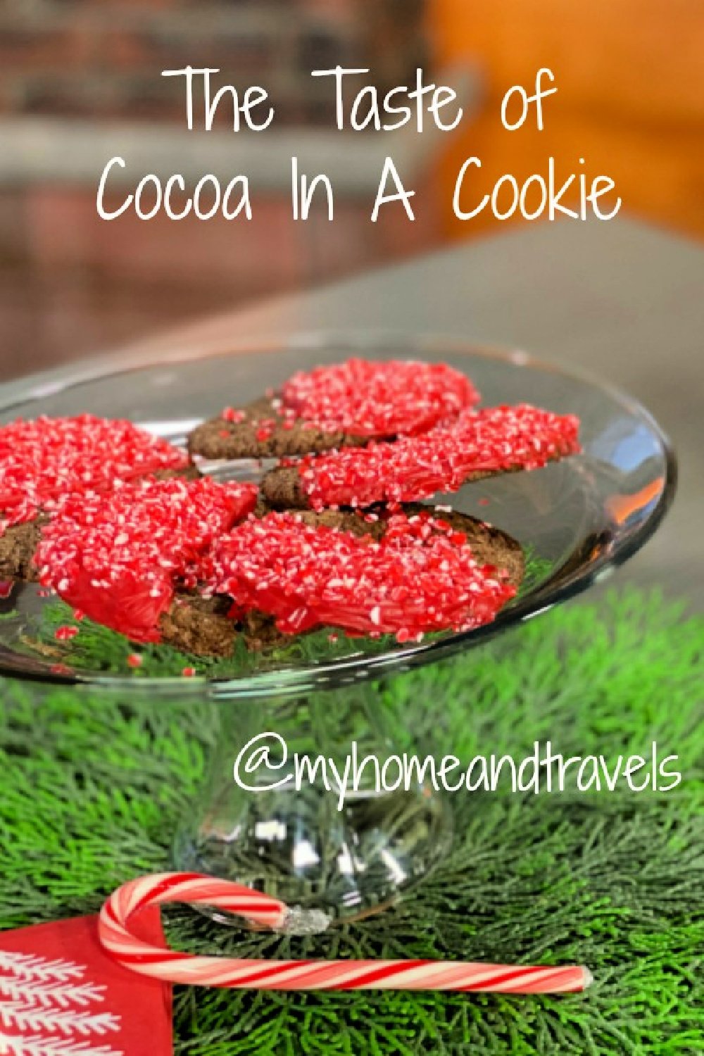 the-taste-of-cocoa-in-a-cookie-my-home-and-travels- pinterest image