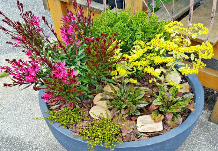 How To Use Colorful Containers Around Your Home