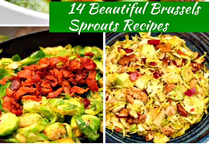 14 Beautiful Brussels Sprouts Recipes