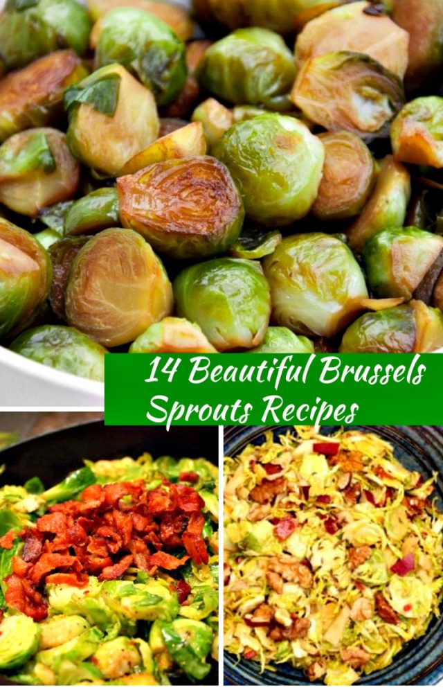 14 Beautiful Brussels Sprouts Recipes My Home And Travels 5596