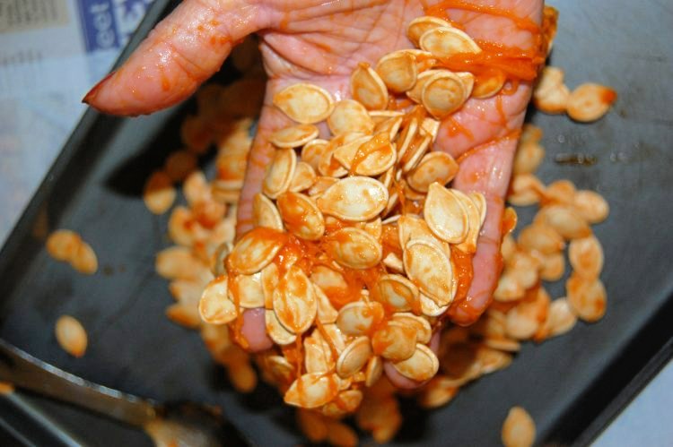roasted-pumpkin-seeds-my-home-and-travels- remvoing seeds from inside pumpkin