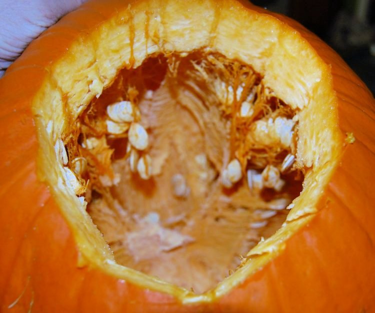 roasted-pumpkin-seeds-my-home-and-travels- inside of pumpkin