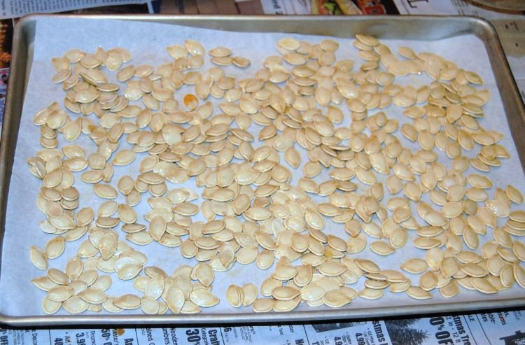 roasted-pumpkin-seeds-my-home-and-travels- on baking sheet