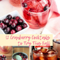 12-Cranberry-Cocktails-to-Try-This-Fall-my-home-and-travels featured image of drinks