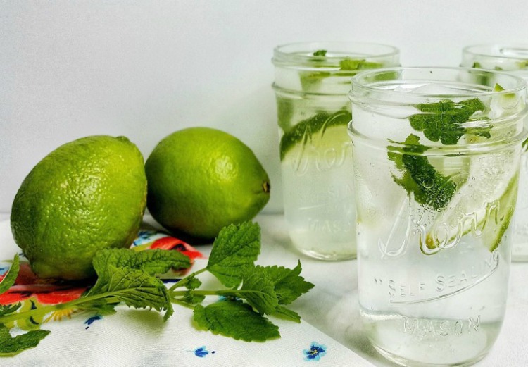 Classic Mojito - Keto friendly my home and travels