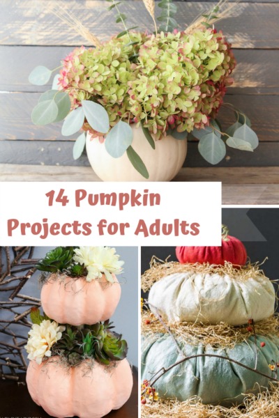 14 Pumpkin Projects for Adults