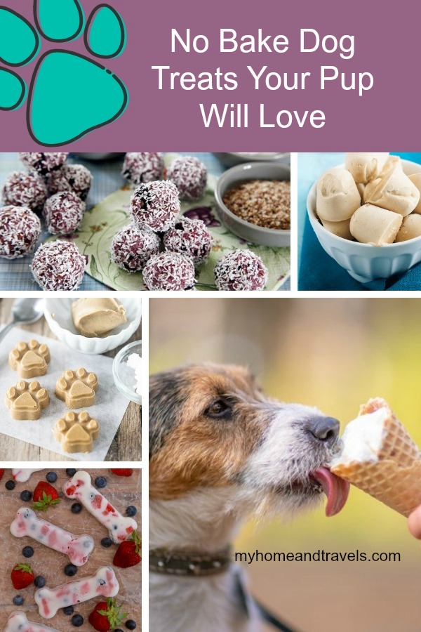 Homemade Dog Treats Your Pup Will Love