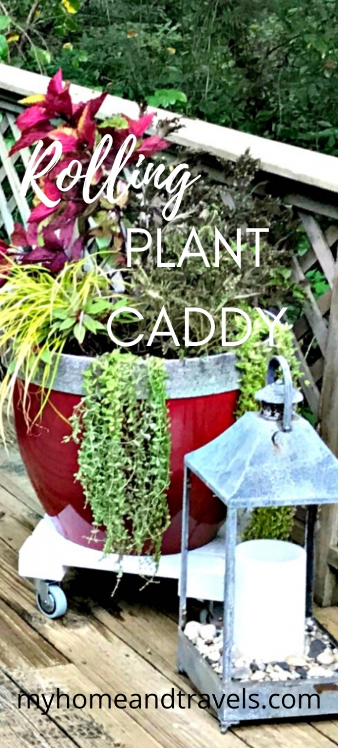 DIY A Rolling Plant Caddy My Home and Travels