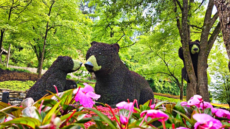 Flower and Food Festival at Dollywood  bears