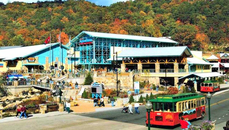 gatlinburg-attractions-feature-my-home-and-travels aquarium