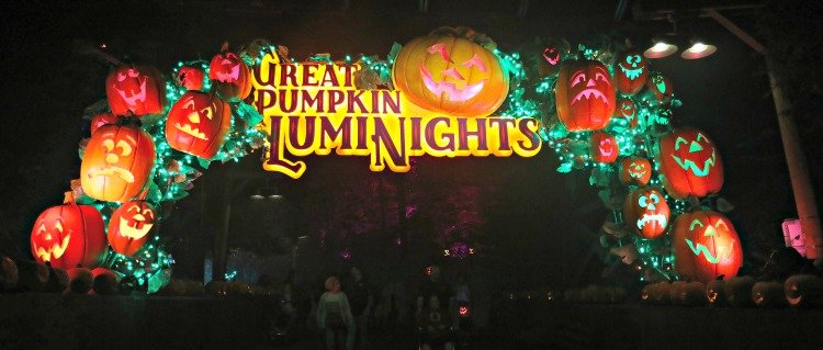 visit dollywood luminights my home and travels entry