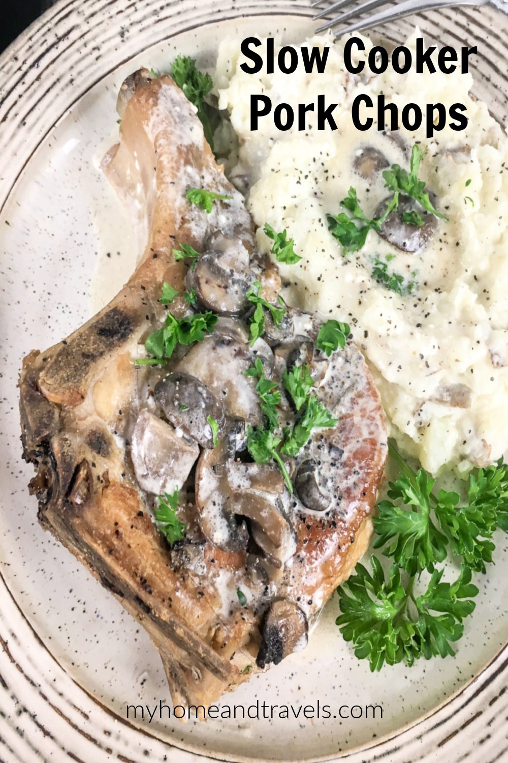 Slow Cooker BoneIn Pork Chops My Home and Travels
