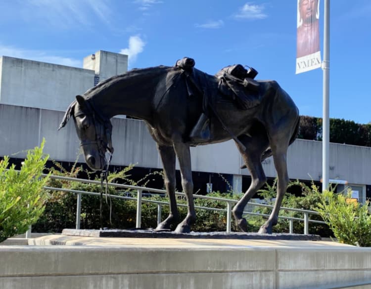 Bronze Horse - Tribute to Military Horses and Mules