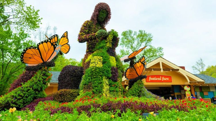 dollywood-flower-food-festival-2021-my-home-and-travels