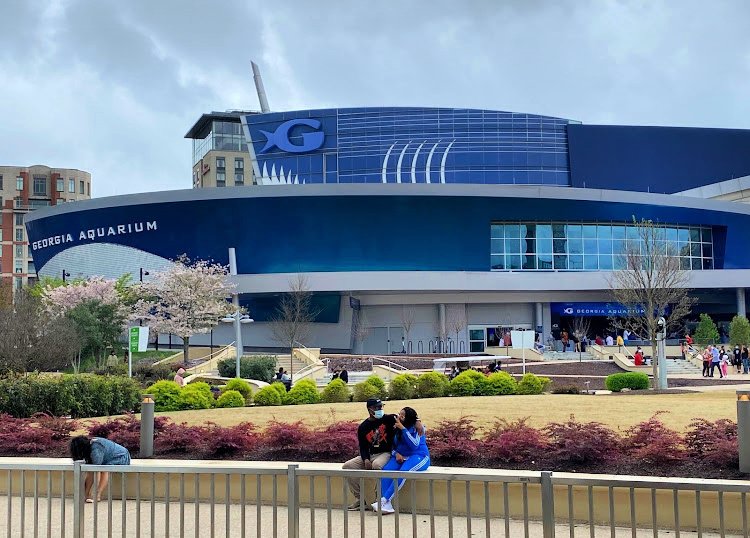 Georgia Aquarium Visit Today  Georgia Aquarium in Downtown Atlanta