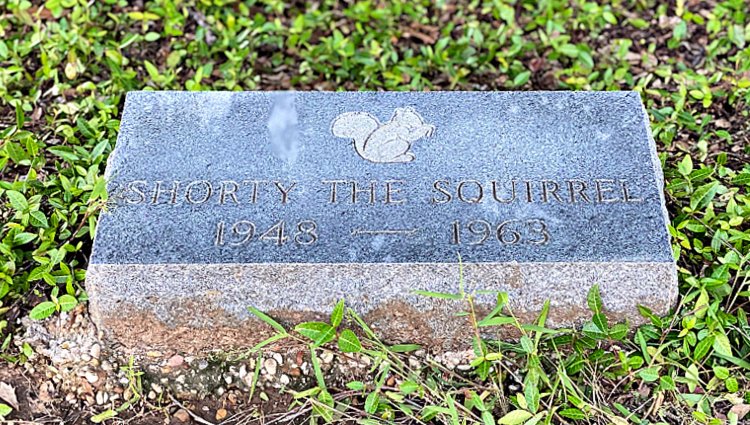 https://myhomeandtravels.com/tyler-rose-garden-and-museum/ shorty the squirrel grave