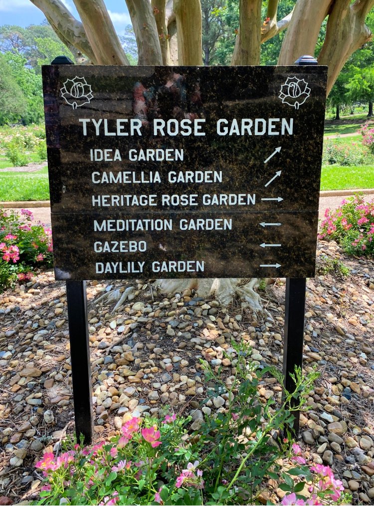 tyler rose garden my home and travels roses and gowns