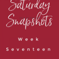 saturday snapshots week 17