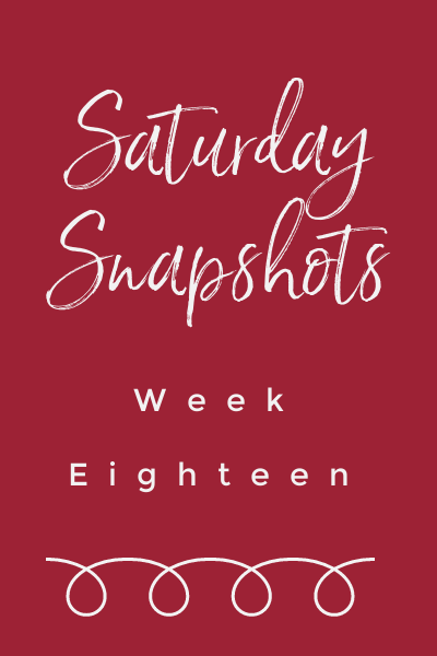 Saturday Snapshots Week Eighteen – Christmas in July