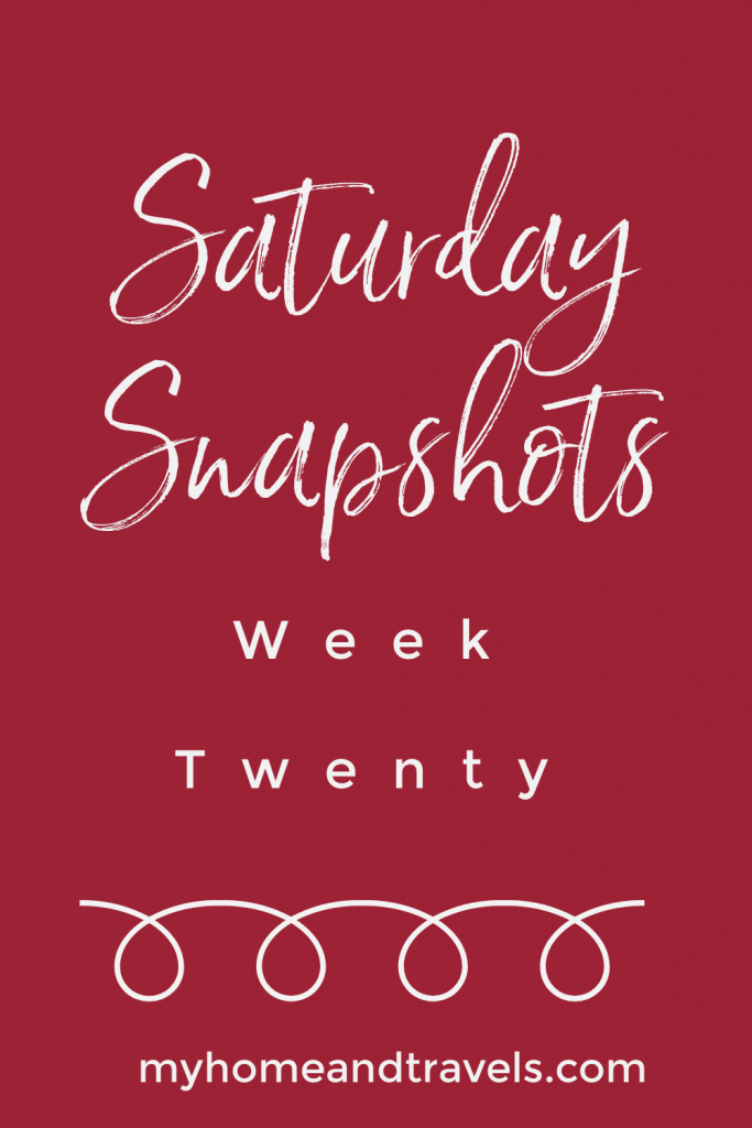 saturday snapshots week 20 pinterest image