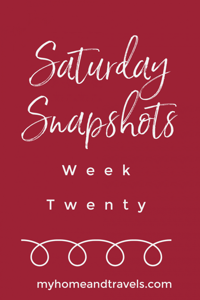 Saturday Snapshots Week Twenty