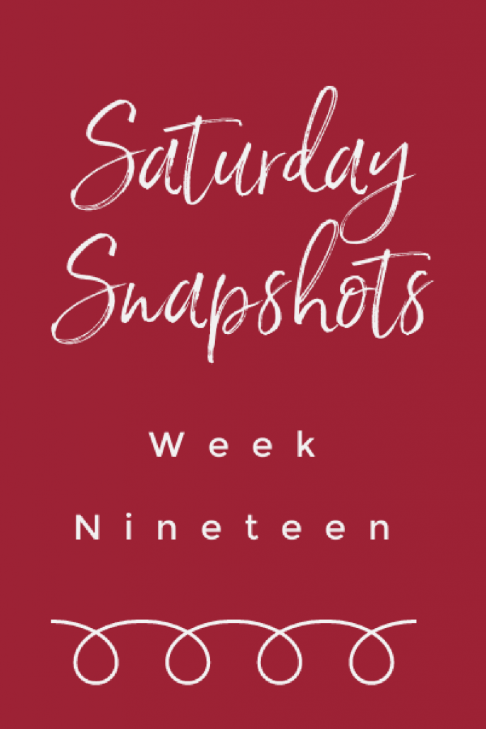 saturday snapshots week nineteen my home and travels pinterest image