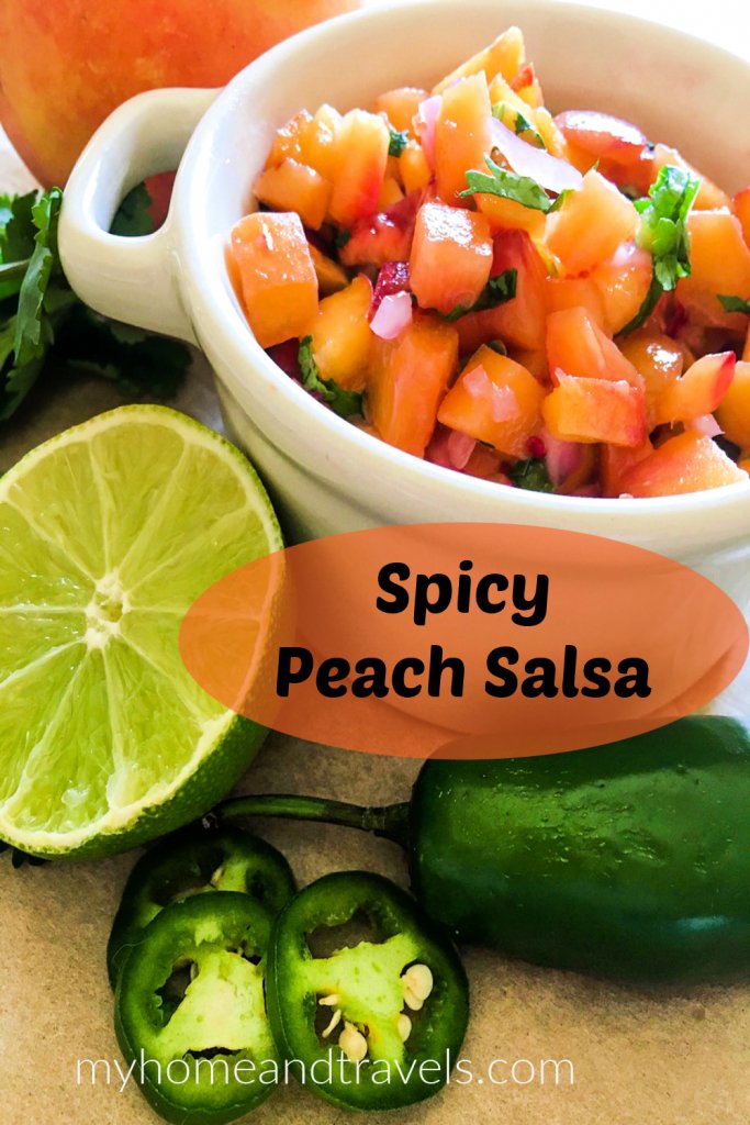 spicy-peach-salsa-my-home-and-travels