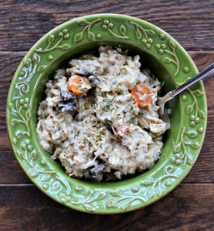 15 of the best slow cooker recipes my home and travels  chicken and brown rice