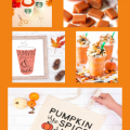 Pumpkin-Spice-Recipes-and-Crafts-my-home-and-travels-image-featured