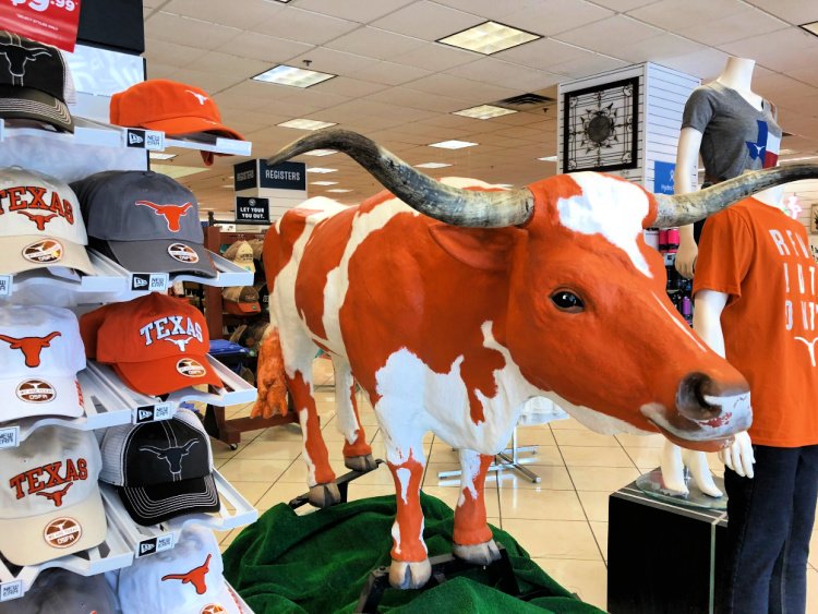 favorite-things-in-austin-my-home-and-travels-U-Texas-Football-stadium bookstore cow