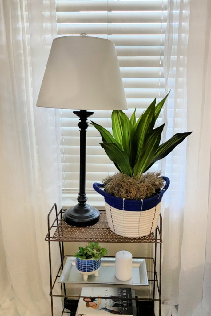living-room-refresh-my-home-and-travels- plant in basket
