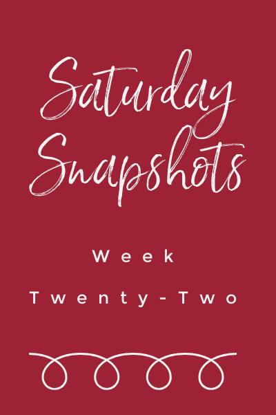 Saturday Snapshots Week Twenty Two