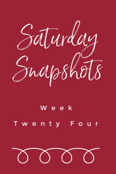 Saturday Snapshots Week Twenty Four