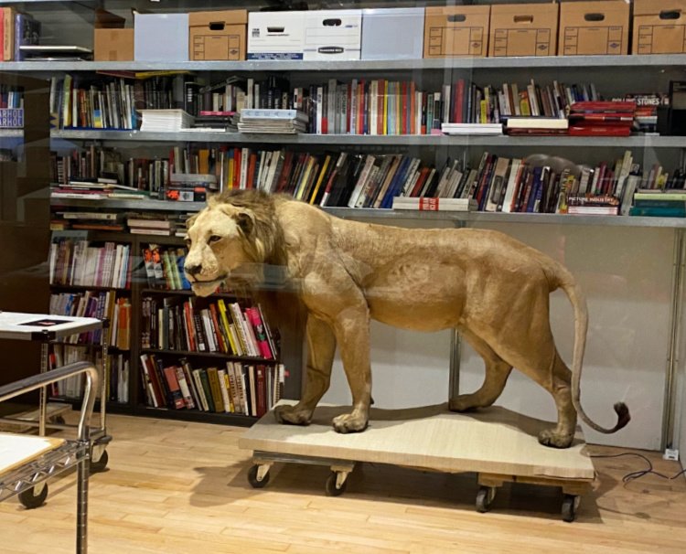 andy-warhold-museum-pittsburgh-my-home-and-travels- lion in archives room