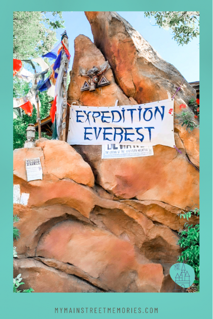 using a disney planner my home and travels  expedition everest