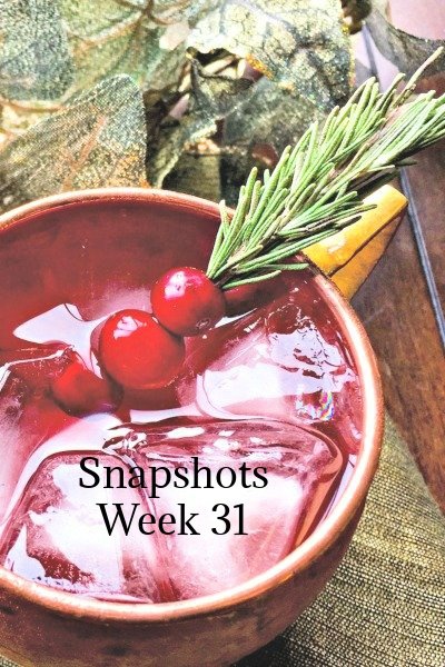 snapshots my home and travels mule featured image week 31