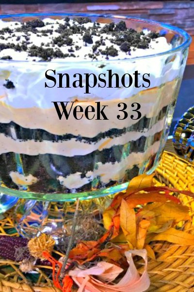 Snapshots From My Home and Travels Week 33