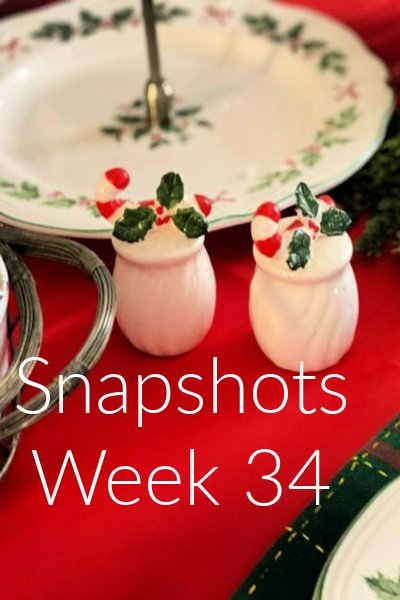 Snapshots from My Home and Travels Week 34