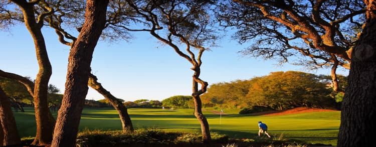 Amelia-Island-florida-my-home-and-travels-island-view