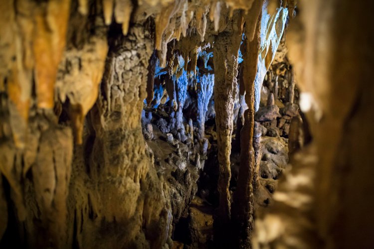 florida outdoors 7 must see once in lifetime my home and travels caverns state park