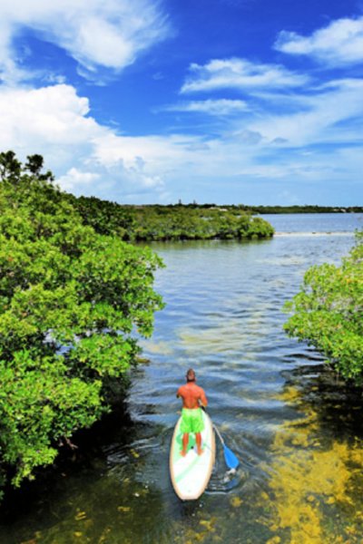 florida outdoors 7 must see once in lifetime my home and travels featured image