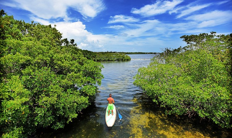 florida outdoors 7 must see once in lifetime my home and travels john pennekamp coral reef park