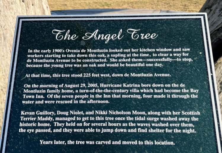 angel-trees-bay-st-louis-my-home-and-travels sign