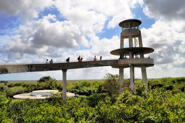 florida outdoors 7 must see once in lifetime my home and travels everglades observatory tower